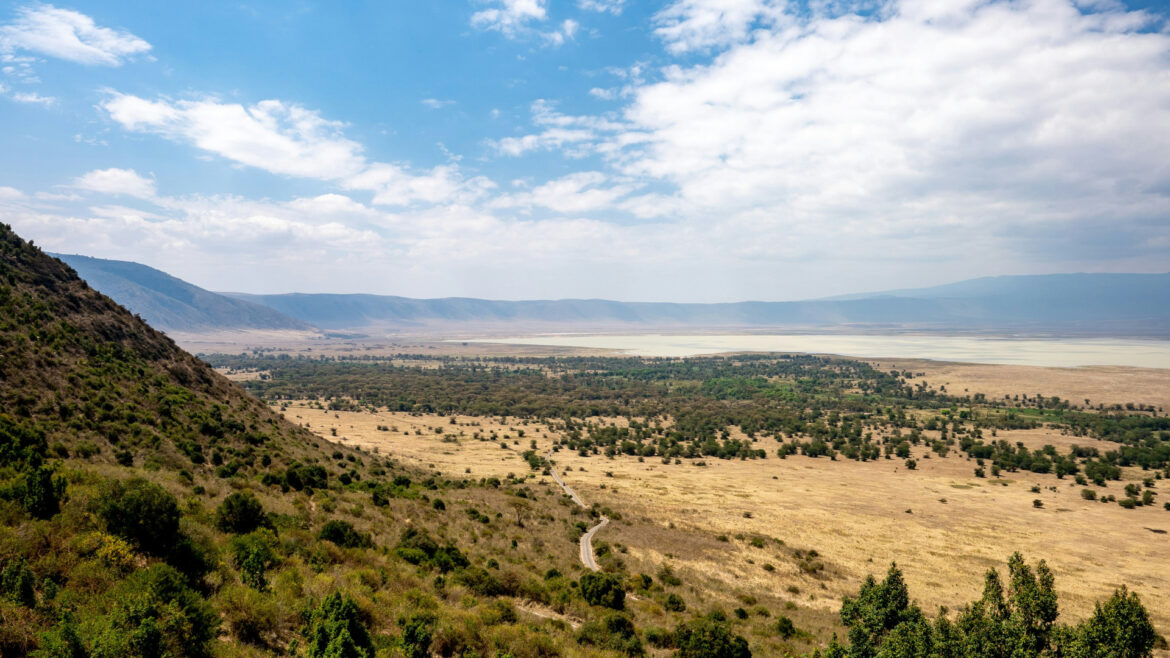 Découvrir la Tanzanie autrement : une aventure unique et authentique