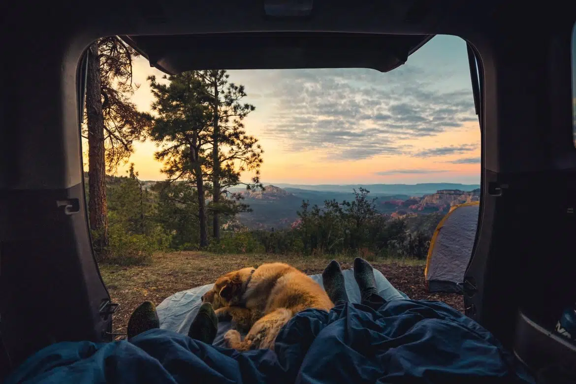 Road-trip dans le nord de l'Europe : ça se tente !