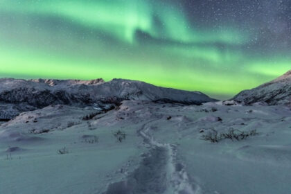 Tromsø en hiver : immersion arctique entre aurores boréales et aventures nordiques